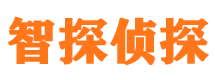 八步市侦探公司